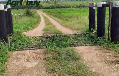 Imagem 3: Fazenda Arapoema to. 10m² de Área