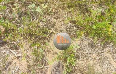 Imagem 8: Fazenda à venda, 840 alqueires por R$ 294.000.000 - São Miguel do Araguaia/GO