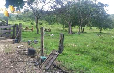 Imagem 13: Fazenda em Nova Brasilândia à venda, 17500000 m² por R$ 9.975.000 -...