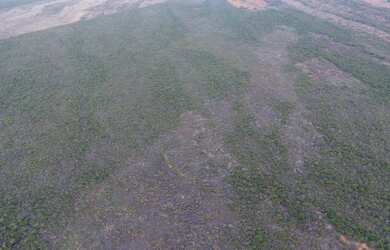 Imagem 12: Fazenda/Sítio/Chácara para venda com 310 ha em - São Gabriel - BA
