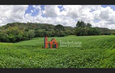 Imagem 16: Área à venda, 15125 m² por R$ 420.000,00 - Fazendinha - Campo Largo/PR