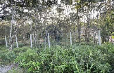 Imagem 3: Terreno para Venda em Pontal do Paraná, SHANGRI-LA