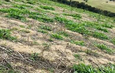 Imagem 6: Lote/Terreno para venda tem 500 metros quadrados em Usina - Atibaia -...