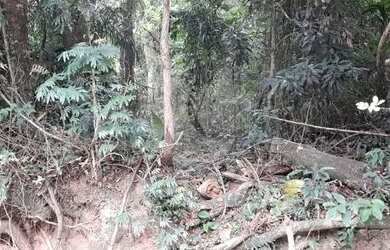 Imagem: O terreno possui 978m² de Área e está localizado em Roseira