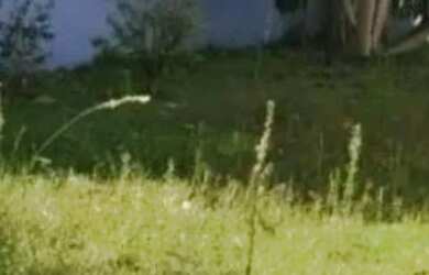 Imagem: O terreno à venda possui e está localizado em City Bussocaba