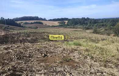 Imagem 3: VENDA - ÁREA RURAL COM 2,5 HECTARES SANTA LUCIA