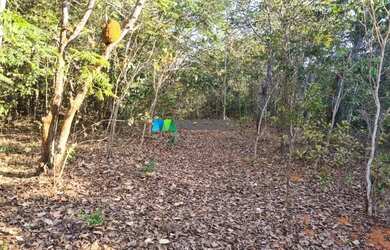 Imagem 7: FAZENDA À VENDA - 193 HECTARES - INIMUTABA MG
