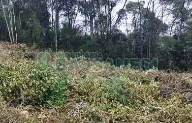 Imagem 2: Terreno Parada Cristal Caxias do Sul