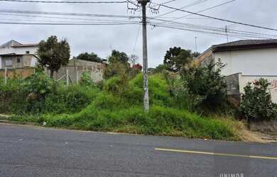 Imagem: O terreno possui 432m² de Área e está localizado em Tingui