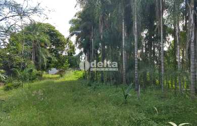 Imagem 4: Chácara Residencial disponível para Venda no bairro Panorama em Uberlândia-MG