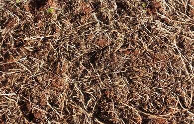 Imagem: Fazenda Anápolis 20 alqueires