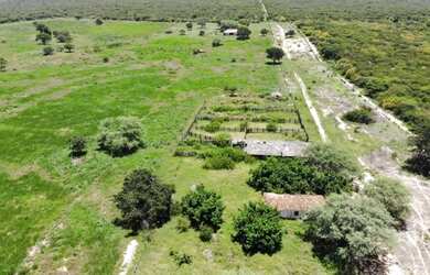 Imagem: A fazenda e está localizado em Brejolândia, BA à venda por