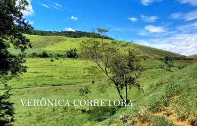 Imagem 8: Ótima fazenda à venda em São João Nepomuceno MG
