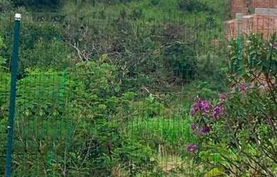 Imagem: O terreno possui 1538m² de Área e está localizado em Jardim