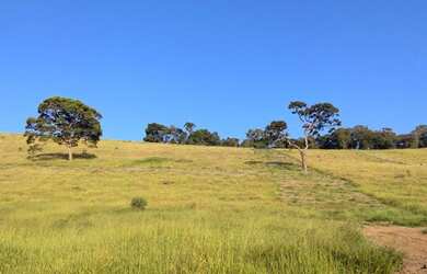 Imagem 16: Lote/Terreno para venda tem 500 metros quadrados