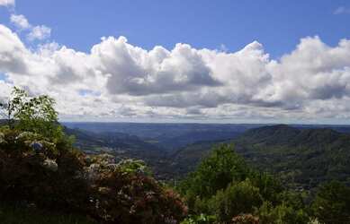 Imagem 7: Terreno à venda, 860 m² por R$ 310.000,00 - Vale dos Pinheiros - Gramado/RS