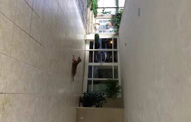 Imagem 8: Casa cinematográfica 13.000m2 indevassável no melhor bairro do Alto