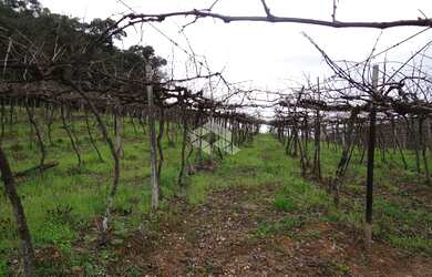 Imagem: A fazenda possui 20.000m² de Área e está localizado em Vale