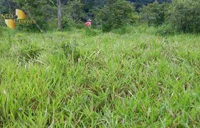 Imagem 8: Fazenda em Nova Brasilândia à venda, 17500000 m² por R$ 9.975.000 -...