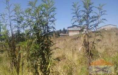 Imagem 4: Terreno à venda, 4423 m² por R$ 1.980.000,00 - Água Espraiada Caucaia...