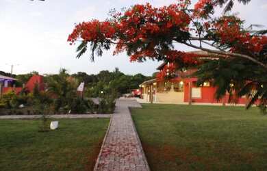 Imagem: A fazenda possui 57m² de Área e está localizado em Mata