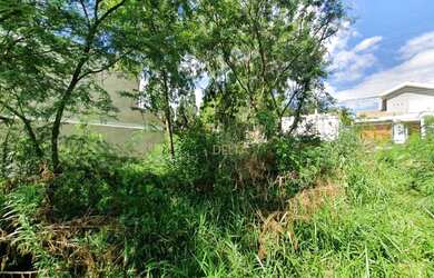 Imagem 5: Terreno à venda, 335 m² por R$ 319.500,00 - Hamburgo Velho - Novo Hamburgo/RS