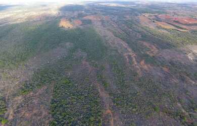 Imagem 2: Fazenda/Sítio/Chácara para venda com 310 ha em - São Gabriel - BA