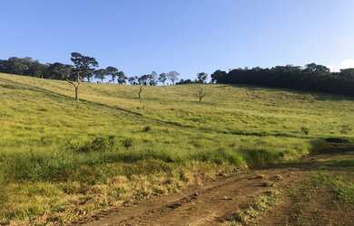 Imagem 10: Lote/Terreno para venda tem 500 metros quadrados