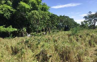 Imagem 3: Amaralina - Fazenda - Zona Rural