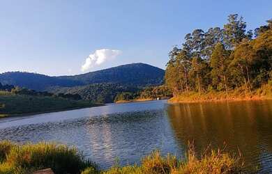 Imagem 16: Lote/Terreno para venda tem 500 metros quadrados