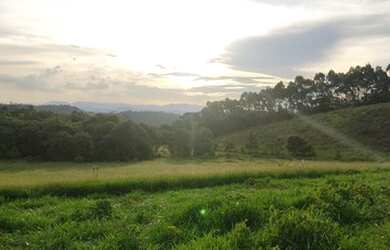 Imagem 2: Lote/Terreno para venda tem 500 metros quadrados