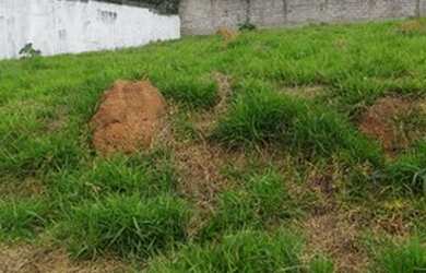 Imagem 4: LOTE/TERRENO À VENDA NO JARDIM PAULISTA EM ATIBAIA-SP