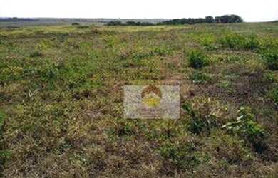 Imagem 10: Fazenda à venda, 560 Alqueires por R$ 56.000.000 - Penápolis/SP