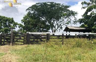 Imagem 11: Fazenda em Juscimeira à venda, 5020000 m² por R$ 6.000.000 - Zona Rural...