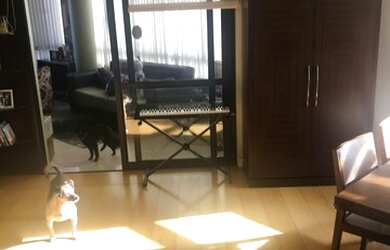 Imagem 5: CAXIAS DO SUL - Apartamento Padrão - JARDIM AMÉRICA