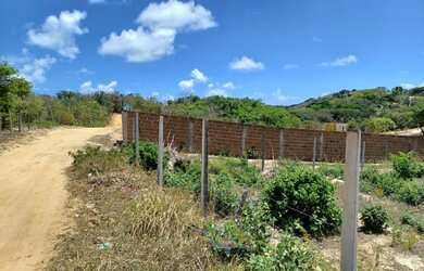 Imagem 6: Lote/Terreno para venda com 375 metros quadrados em Praia de Pipa - Tibau...