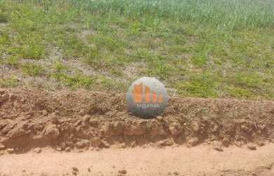 Imagem 7: Fazenda à venda, 840 alqueires por R$ 294.000.000 - São Miguel do Araguaia/GO