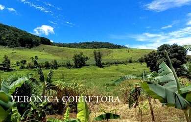 Imagem 12: Ótima fazenda à venda em São João Nepomuceno MG