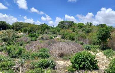 Imagem 2: Lote/Terreno para venda com 375 metros quadrados em Praia de Pipa - Tibau...