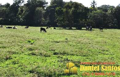 Imagem: A fazenda possui 14.800m² de Área e está localizado em Santana