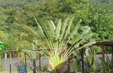Imagem 8: Pousada Beija Flor na Praia da Lagoinha - Ubatuba - SP
