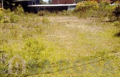 Imagem: CAXIAS DO SUL - Terreno Padrão - Villa Horn