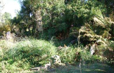 Imagem: O terreno possui 888m² de Área e está localizado em Canela