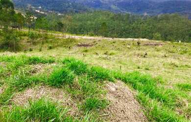 Imagem: O terreno possui 600m² de Área e está localizado em Rio