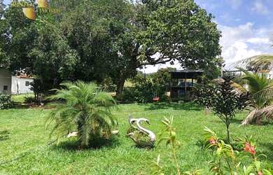 Imagem 9: Fazenda em Juscimeira à venda, 5020000 m² por R$ 6.000.000 - Zona Rural...