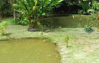 Imagem: A chácara possui 1.400m² de Área e está localizado em Santa