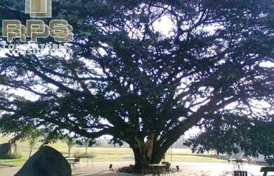 Imagem 4: Terreno à venda em Condomínio Fechado - Figueira Garden - Atibaia -...