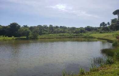 Imagem 10: Senador Canedo - Terreno Padrão - lt br gt Jardins Porto