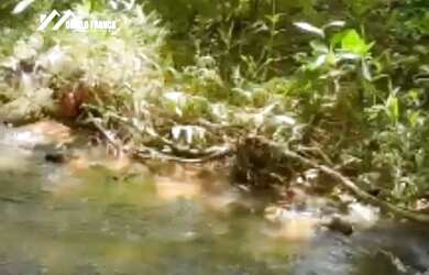 Imagem: O terreno possui 9.299m² de Área e está localizado em Comunidade