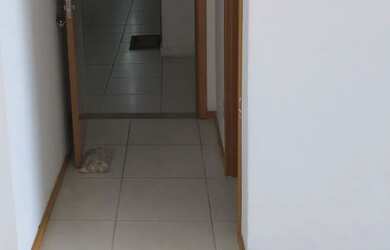 Imagem 16: Aluga-se Apt c/ 3 Qtos no Sublime Max ao lado do Américas Shopping ,...